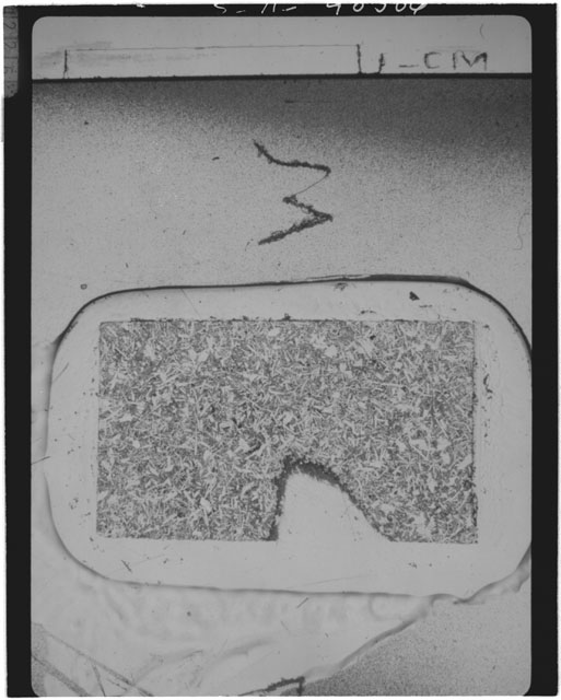 Black and white Thin Section photograph of Apollo 14 Sample(s) 14310,176 using transmitted light.