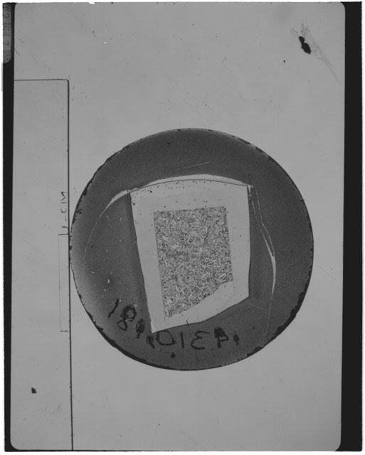Black and white Thin Section photograph of Apollo 14 Sample(s) 14310,181 using transmitted light.