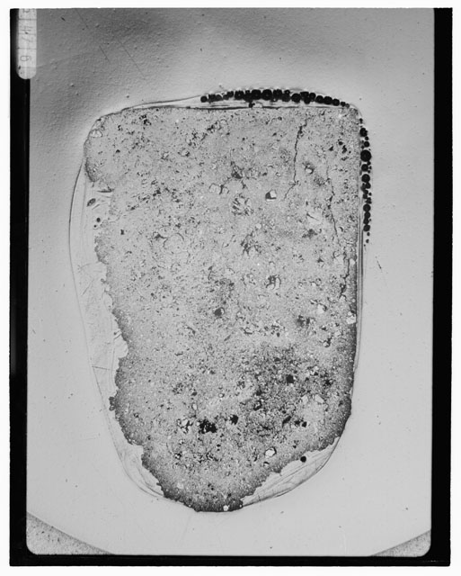 Black and white Thin Section photograph of Apollo 14 Sample(s) 14313,28.