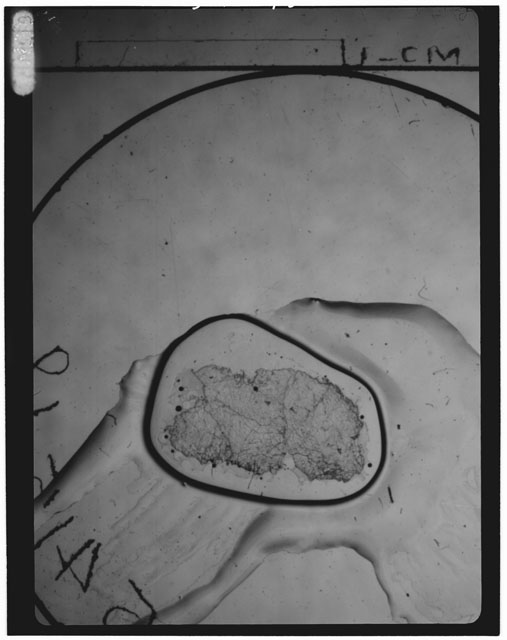 Thin Section Photograph of Apollo 15 Sample(s) 15415,18