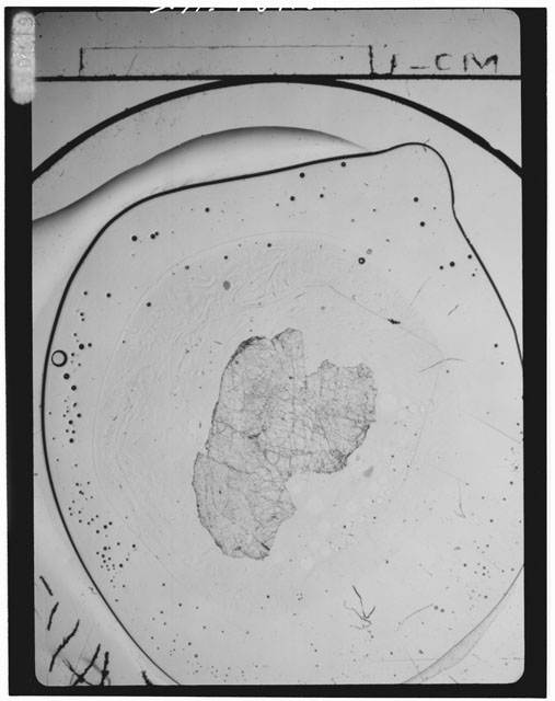 Thin Section Photograph of Apollo 15 Sample(s) 15415,16