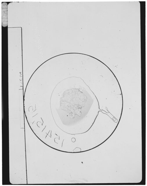 Thin Section Photograph of Apollo 15 Sample(s) 15415,15