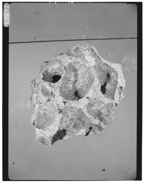 Thin Section Photograph of Apollo 15 Sample(s) 15556,3