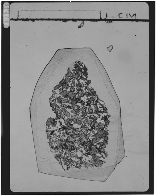 Thin Section Photograph of Apollo 15 Sample(s) 15555,38