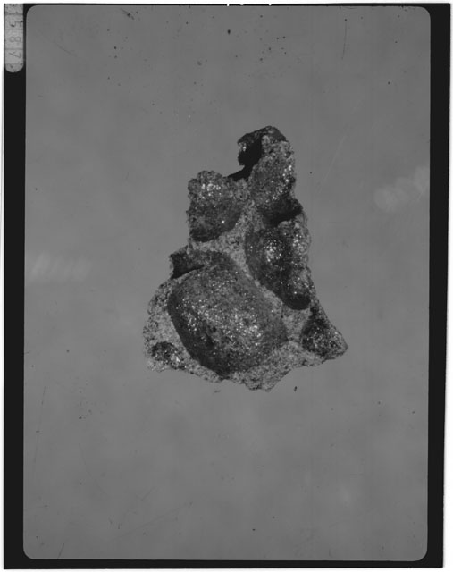 Thin Section Photograph of Apollo 15 Sample(s) 15556,10