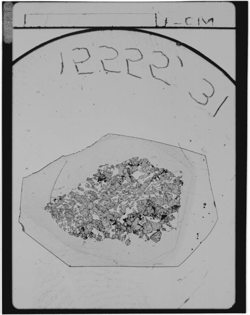 Thin Section Photograph of Apollo 15 Sample(s) 15555,31