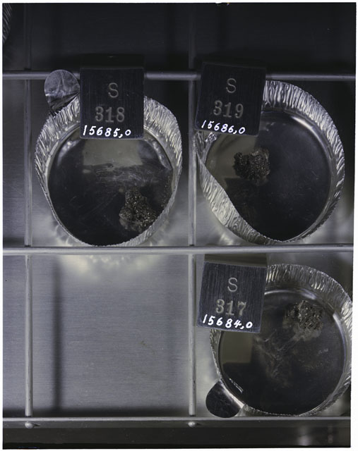 Rake Sample Photograph of Apollo 15 Sample(s) 15684