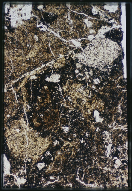 Thin Section Photograph of Apollo 15 Sample(s) 15459