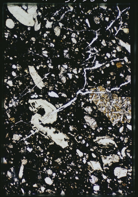 Thin Section Photograph of Apollo 15 Sample(s) 15028