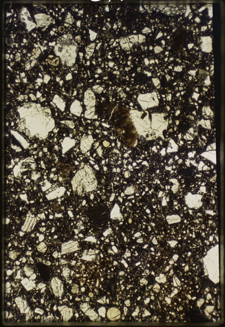 Thin Section Photograph of Apollo 15 Sample(s) 15558