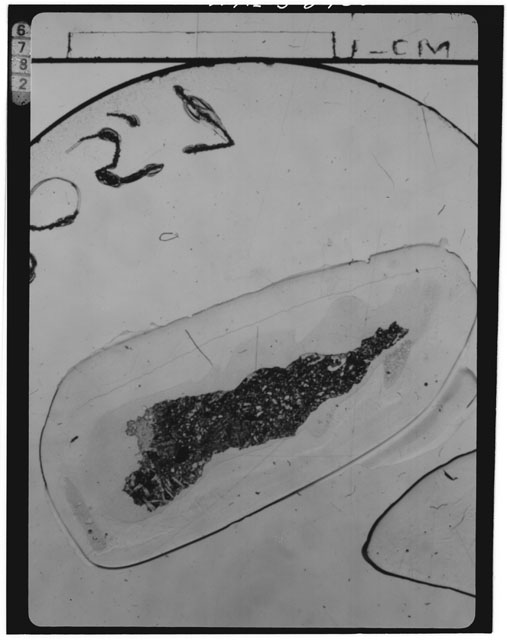Thin Section Photograph of Apollo 15 Sample(s) 15205,7