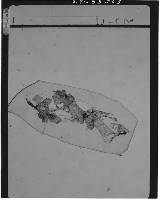 Thin Section Photograph of Apollo 15 Sample(s) 15085,14