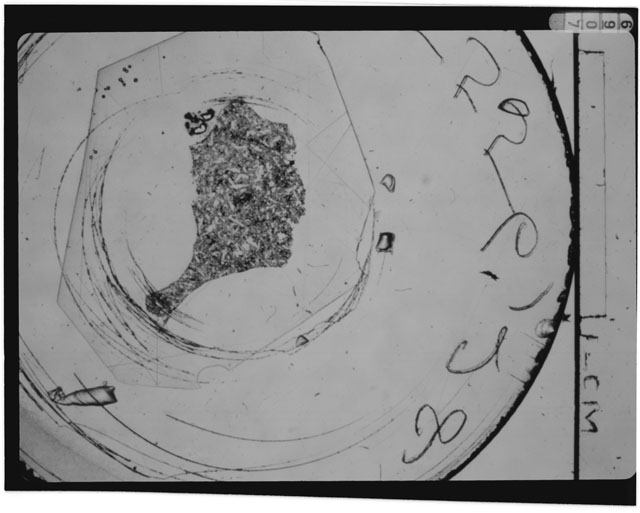 Thin Section Photograph of Apollo 15 Sample(s) 15556,29
