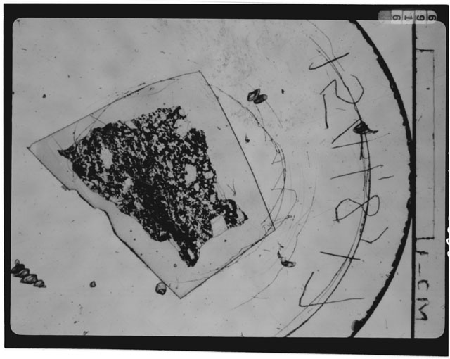 Thin Section Photograph of Apollo 15 Sample(s) 15597,22