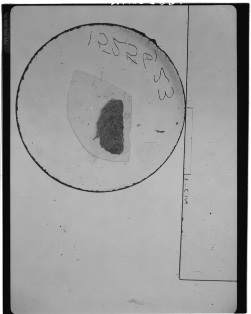 Thin Section Photograph of Apollo 15 Sample(s) 15256,23