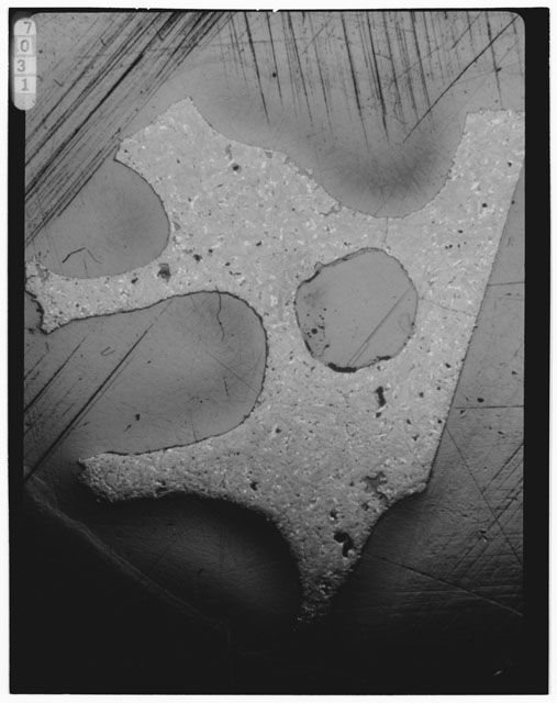 Thin Section Photograph of Apollo 15 Sample(s) 15556,137