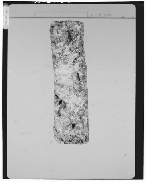 Thin Section Photograph of Apollo 15 Sample(s) 15555,89