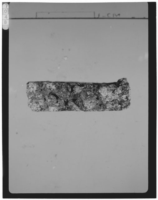 Thin Section Photograph of Apollo 15 Sample(s) 15555,99