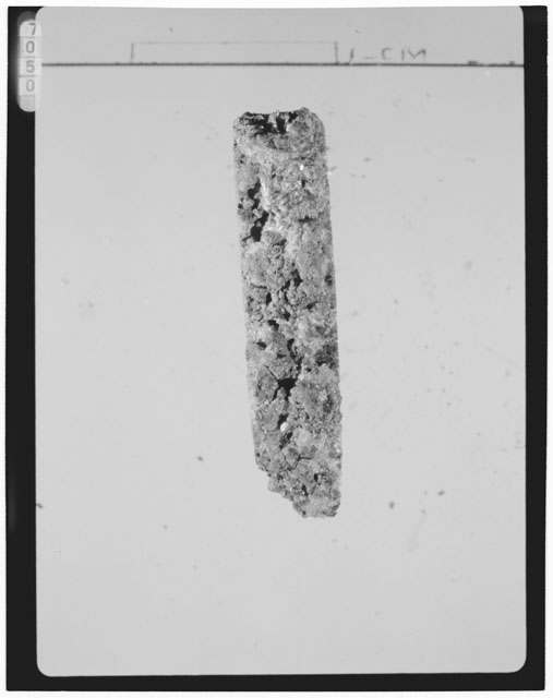 Thin Section Photograph of Apollo 15 Sample(s) 15555,100