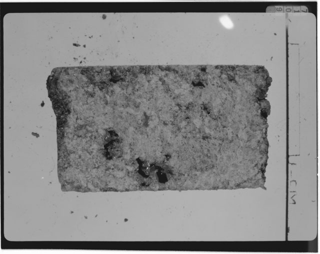 Thin Section Photograph of Apollo 15 Sample(s) 15555,111