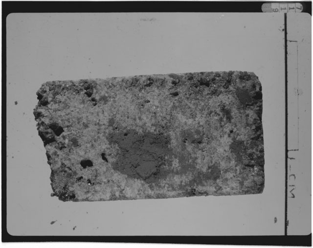 Thin Section Photograph of Apollo 15 Sample(s) 15555,113