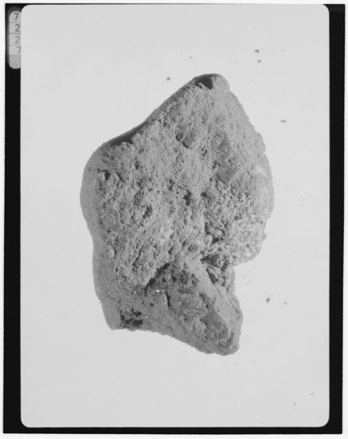 Thin Section Photograph of Apollo 15 Sample(s) 15558,11
