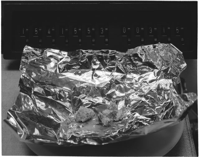Inventory Photograph of Apollo 15 Sample(s) 15415,53