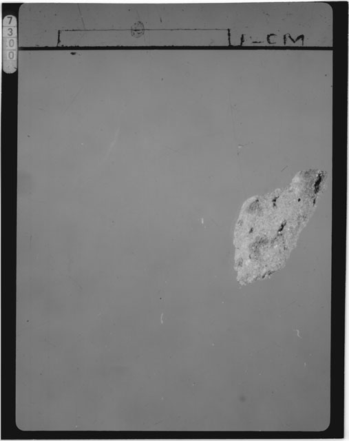 Thin Section Photograph of Apollo 15 Sample(s) 15445,24