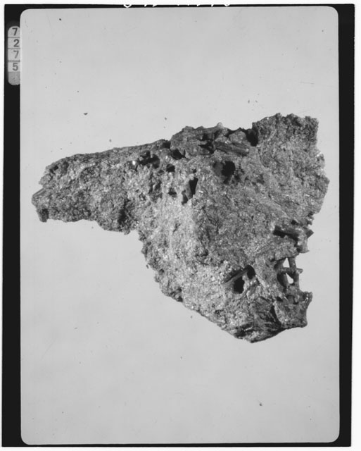 Thin Section Photograph of Apollo 15 Sample(s) 15596,1