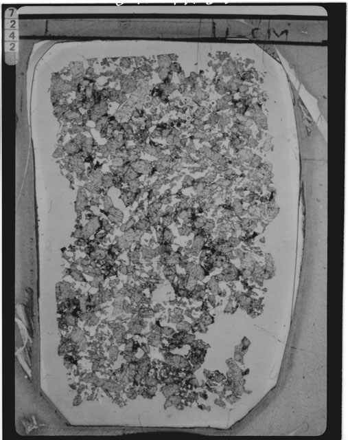 Thin Section Photograph of Apollo 15 Sample(s) 15555,170