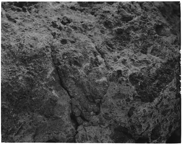 Black and White Processing Photo of Apollo 14 Sample 14321,68