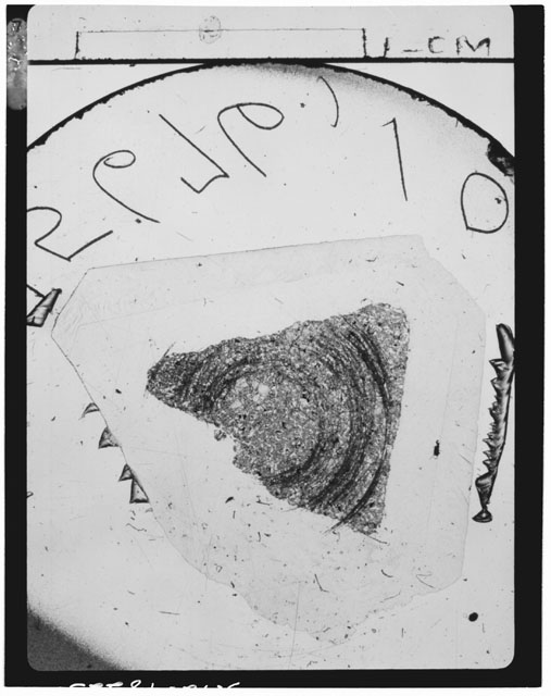 Thin Section Photograph of Apollo 15 Sample(s) 15676,10