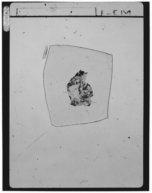 Thin Section Photograph of Apollo 15 Sample(s) 15445,61