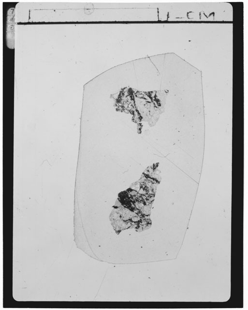 Thin Section Photograph of Apollo 15 Sample(s) 15445,66