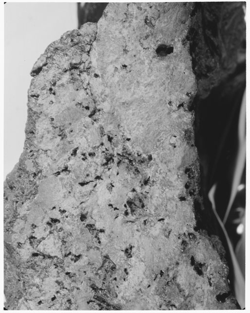 Close-Up Photograph of Apollo 15 Sample(s) 15486