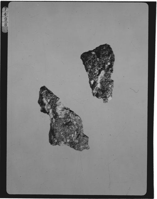 Thin Section Photograph of Apollo 15 Sample(s) 15459,101