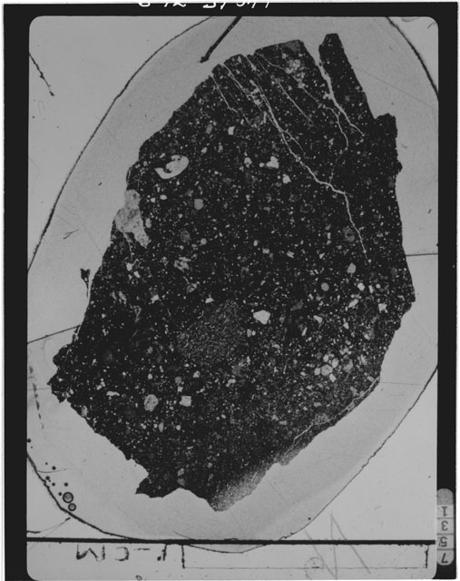 Thin Section Photograph of Apollo 15 Sample(s) 15505,56