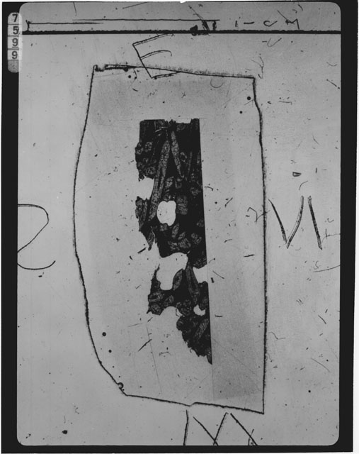 Thin Section Photograph of Apollo 15 Sample(s) 15596,14