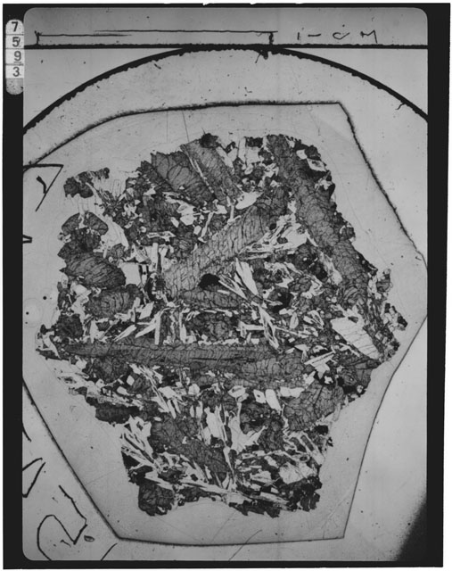 Thin Section Photograph of Apollo 15 Sample(s) 15475,147