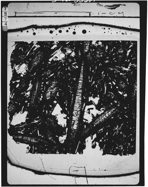 Thin Section Photograph of Apollo 15 Sample(s) 15058,129
