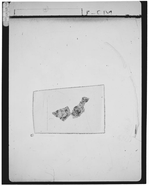 Thin Section Photograph of Apollo 15 Sample(s) 15455,169