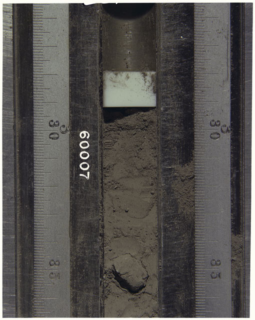 Color photograph of Apollo 16 Sample(s) 60007; Processing photograph displaying Core Tube at 26-36 cm depth.