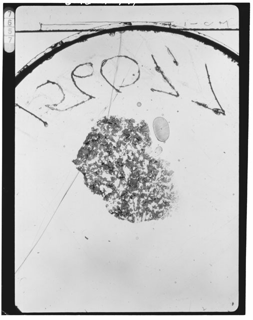 Thin Section Photograph of Apollo 15 Sample(s) 15607,7