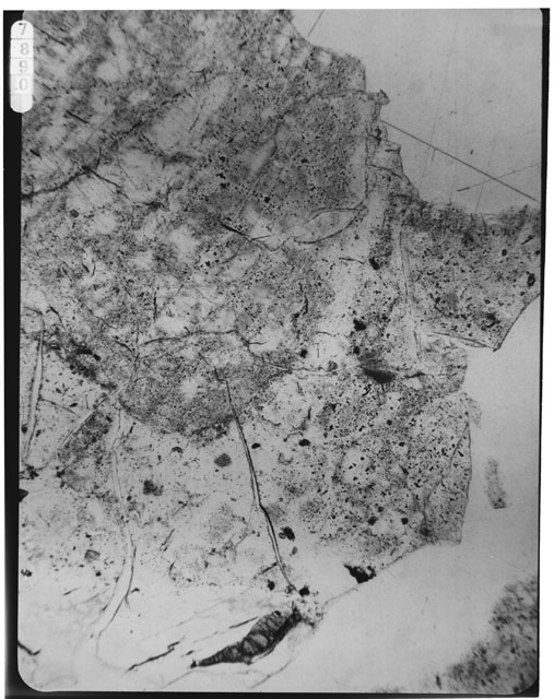 Black and white photograph of Apollo 16 Sample(s) 61016,13; 2.5x magnification of a Thin Section photograph using reflected light.