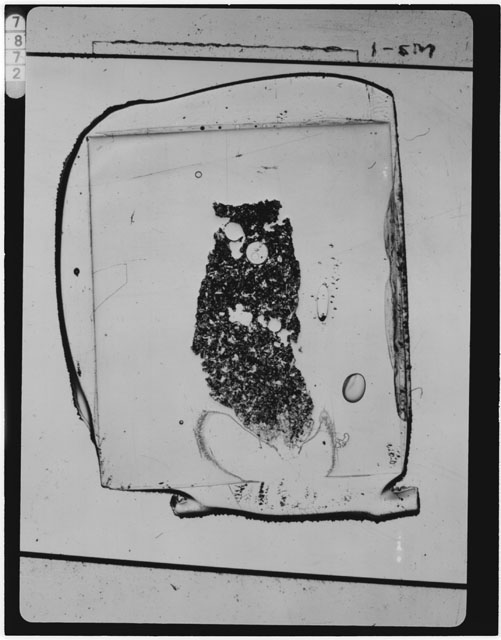 Black and white Thin Section photograph of Apollo 11 Sample(s) 10017,114.