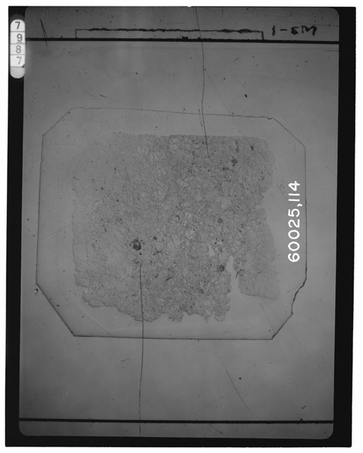 Black and white Thin Section photograph of Apollo 16 Sample(s) 60025,114.