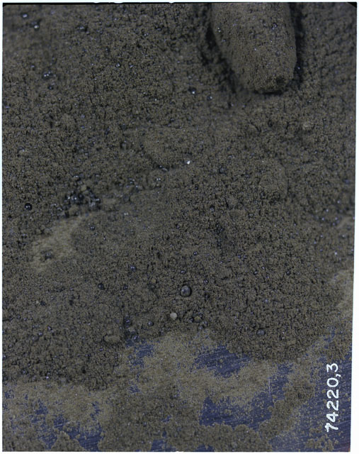 Black and white photograph of Apollo 17 Sample(s) 74220,3; Processing photograph displaying Orange Soil.