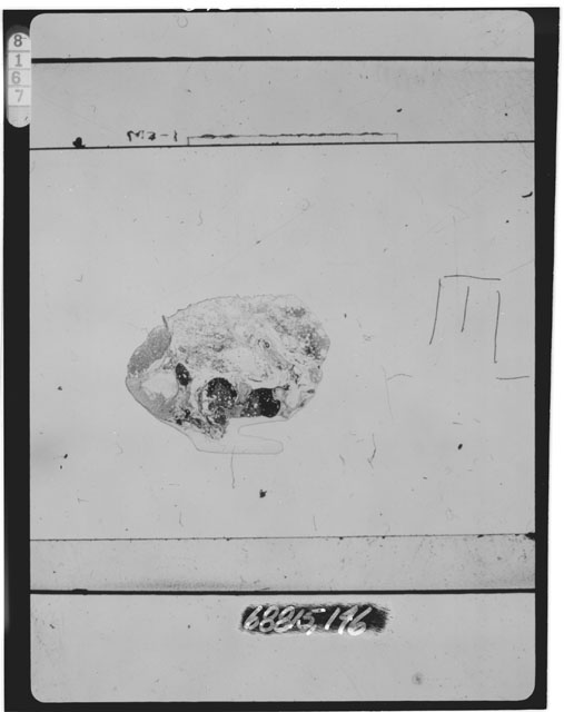 Black and white photograph of Apollo 16 Sample(s) 68815,146; Thin Section photograph using transmitted light.