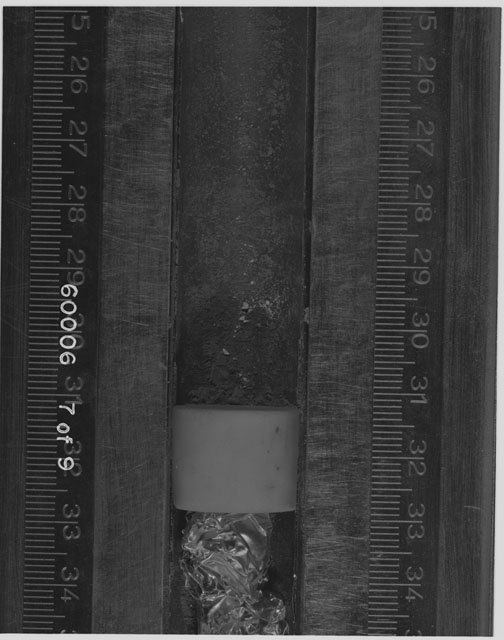 Black and white photograph of Apollo 16 Sample(s) 60006; 7 OF 9 Processing photograph displaying Core Tube at 25-34.5 cm depth.