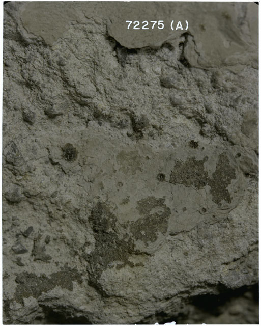 Color photograph of Apollo 17 Sample(s) 72275; Processing photograph displaying a close-up view of (A).